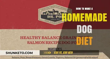 Creating a Healthy Homemade Dog Diet