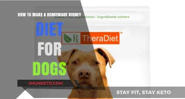 Customizing Kidney Diet for Your Dog at Home