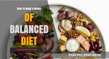 Creating a Balanced Diet Model: A Guide