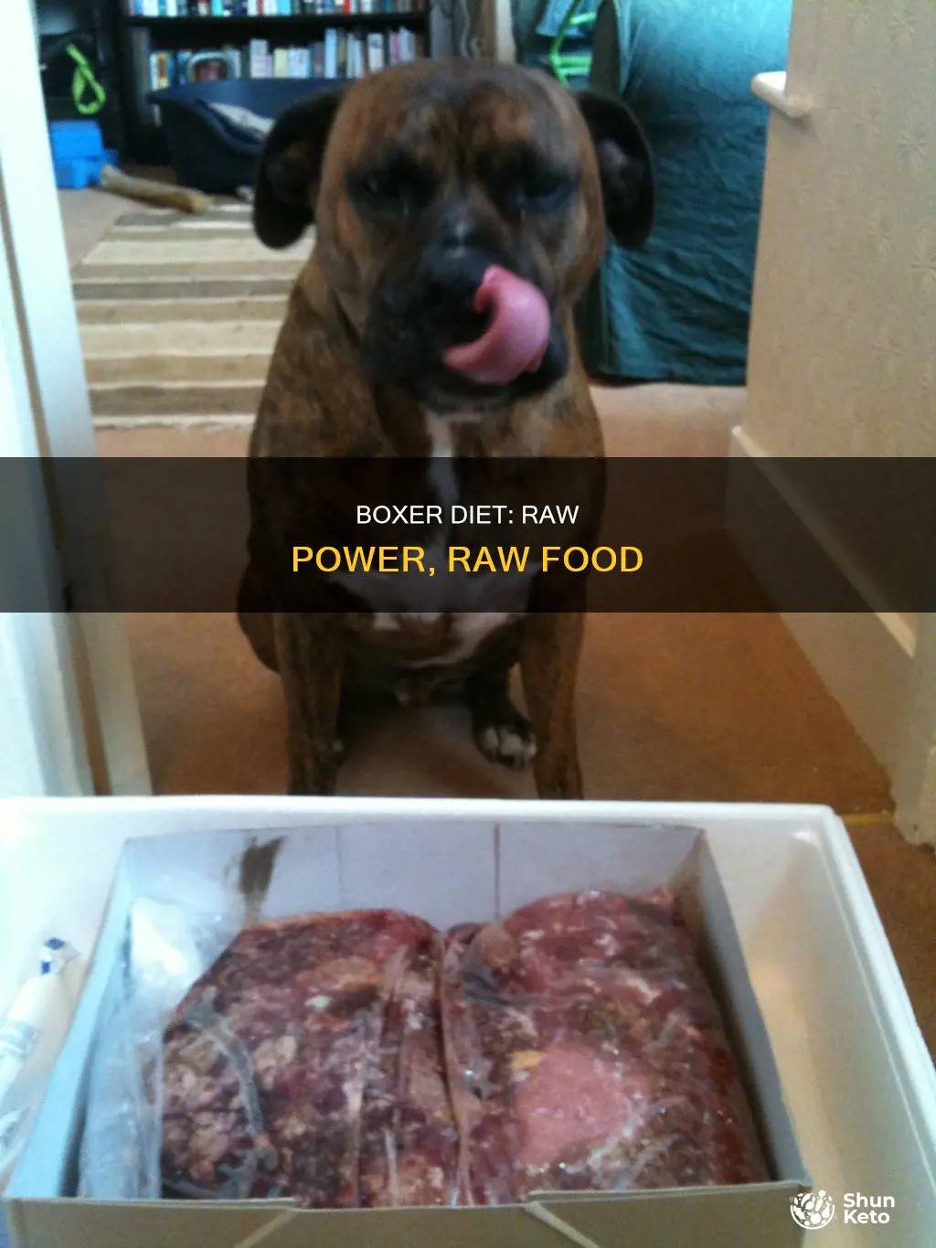 how to make a raw diet for a boxe dog