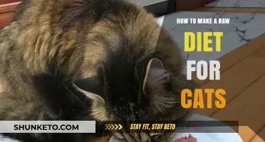 Raw Diet for Cats: A Guide to Homemade Meals