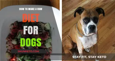 Raw Diet for Dogs: A Guide to Homemade Meals