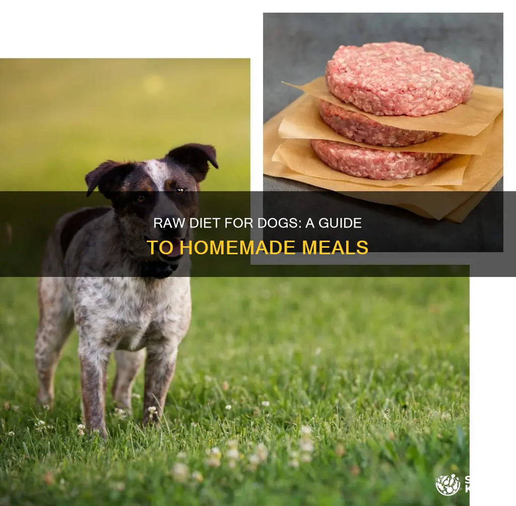 how to make a raw diet for dogs