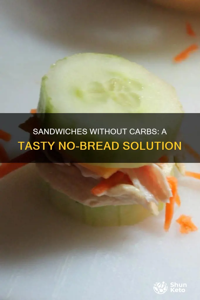 how to make a sandwich on no carb diet