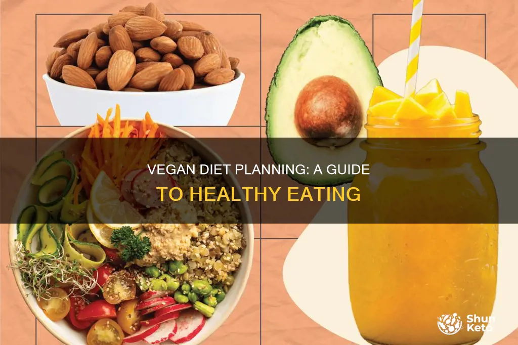 how to make a vegan diet plan