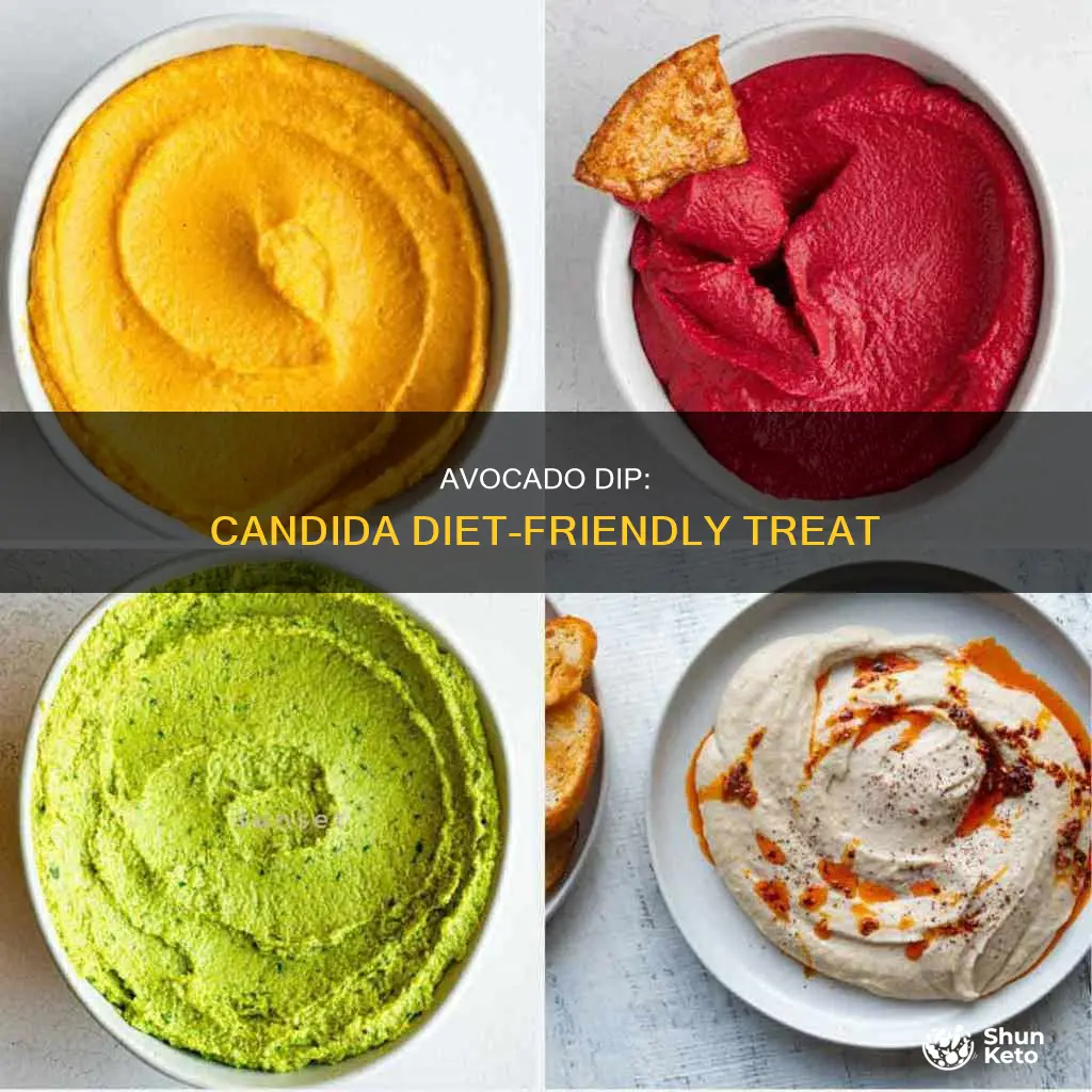 how to make avocado dip on candida diet