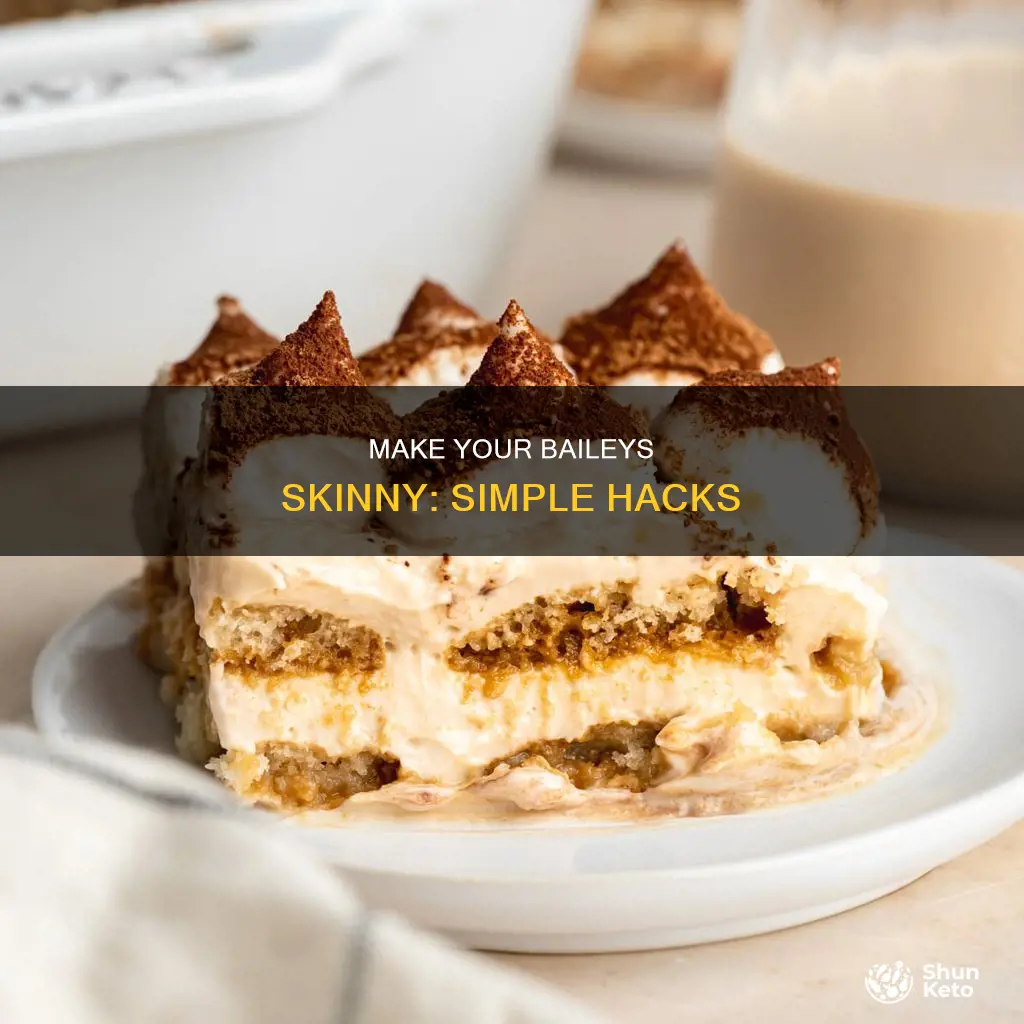 how to make baileys diet friendly