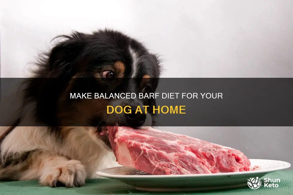 how to make barf diet for dogs