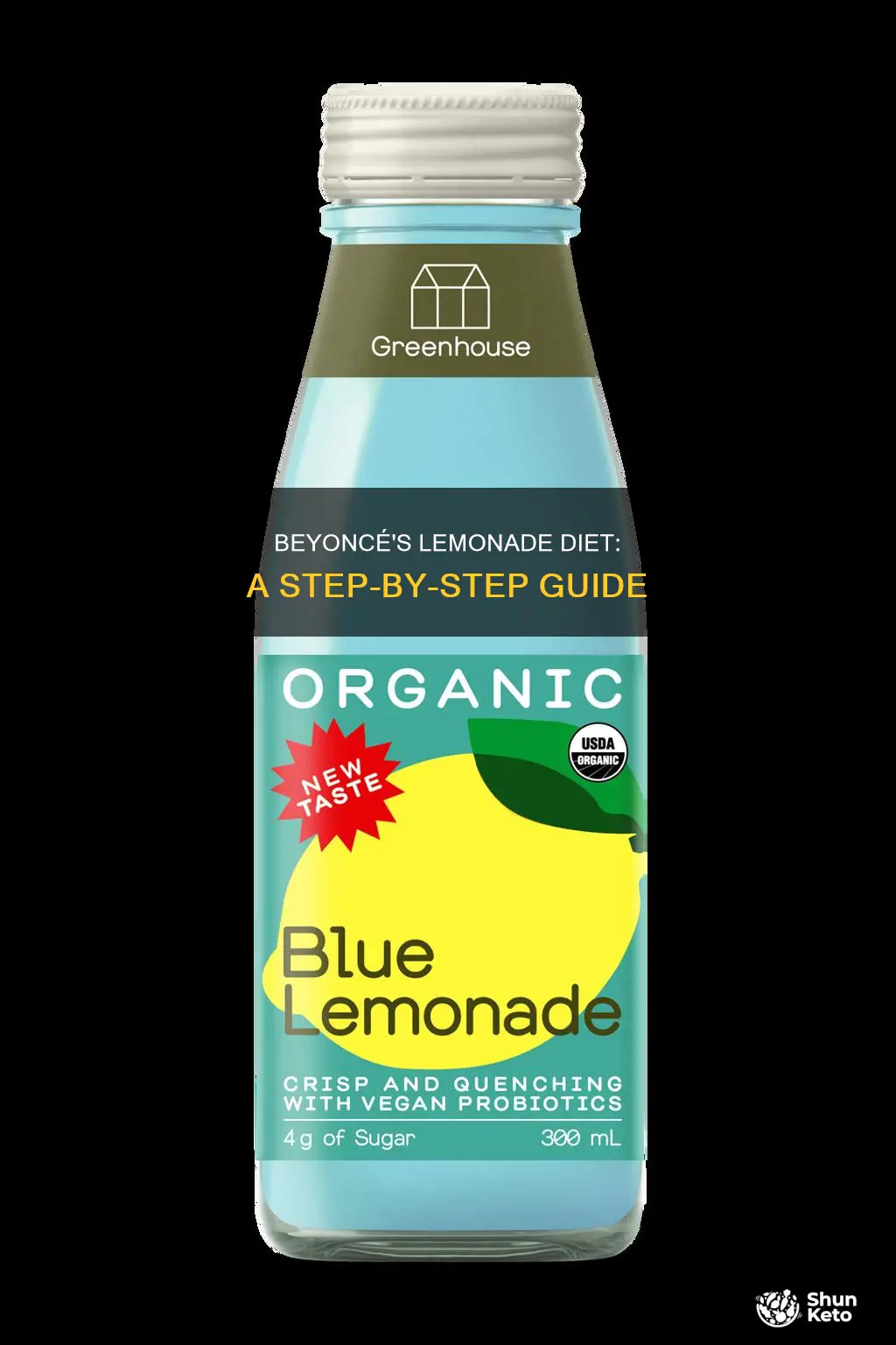 how to make beyonce lemonade diet