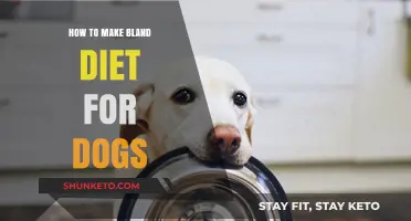 Simple Home-Cooked Bland Diet for Your Dog's Upset Tummy