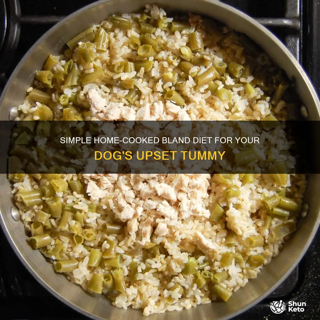 how to make bland diet for dogs