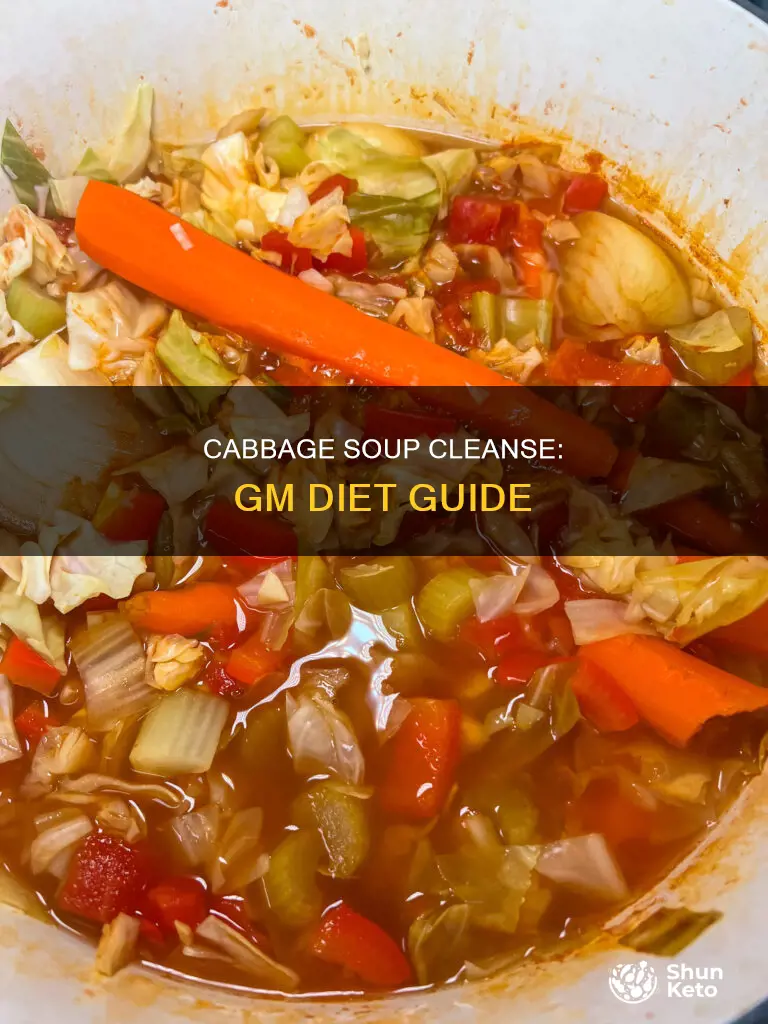 how to make cabbage soup for gm diet