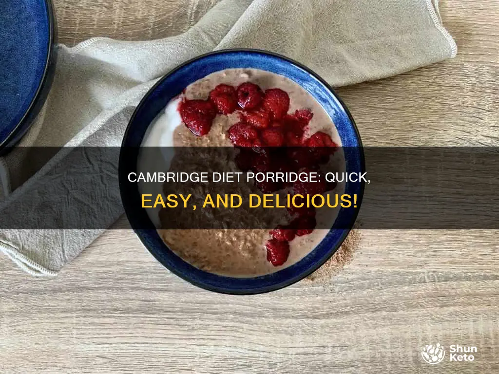 how to make cambridge diet porridge