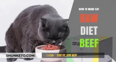 Raw Beef Diet: A Feline's Guide