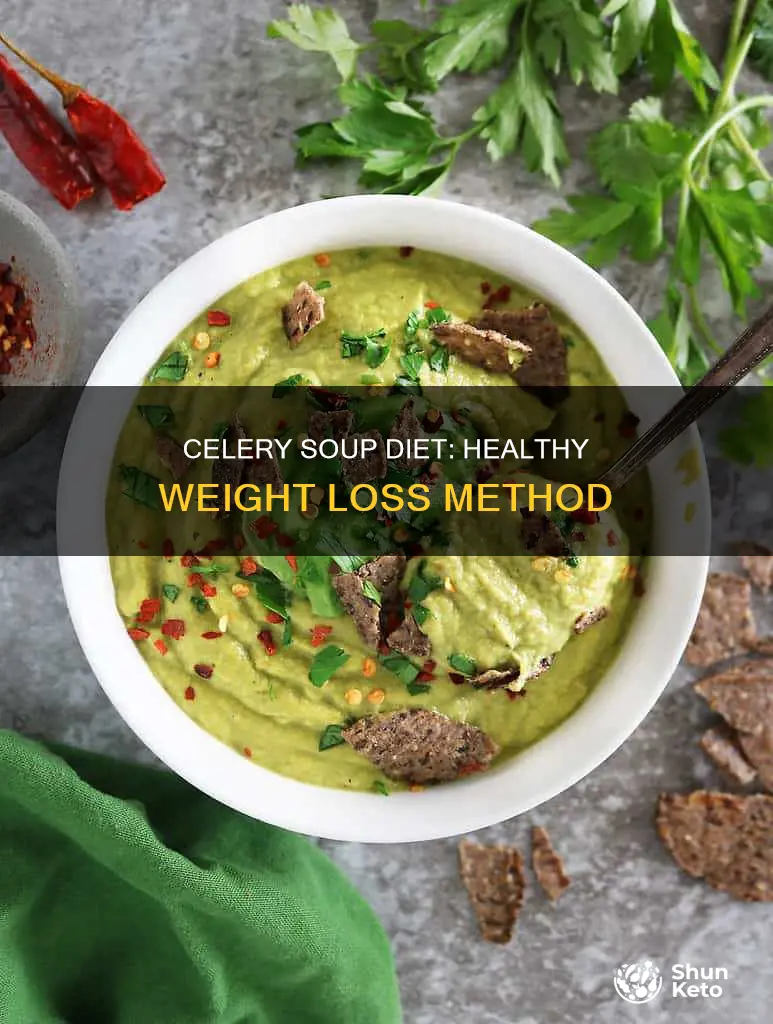 how to make celery soup diet