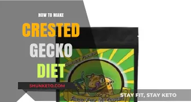 Crested Gecko Diet: A Simple Guide to Feeding