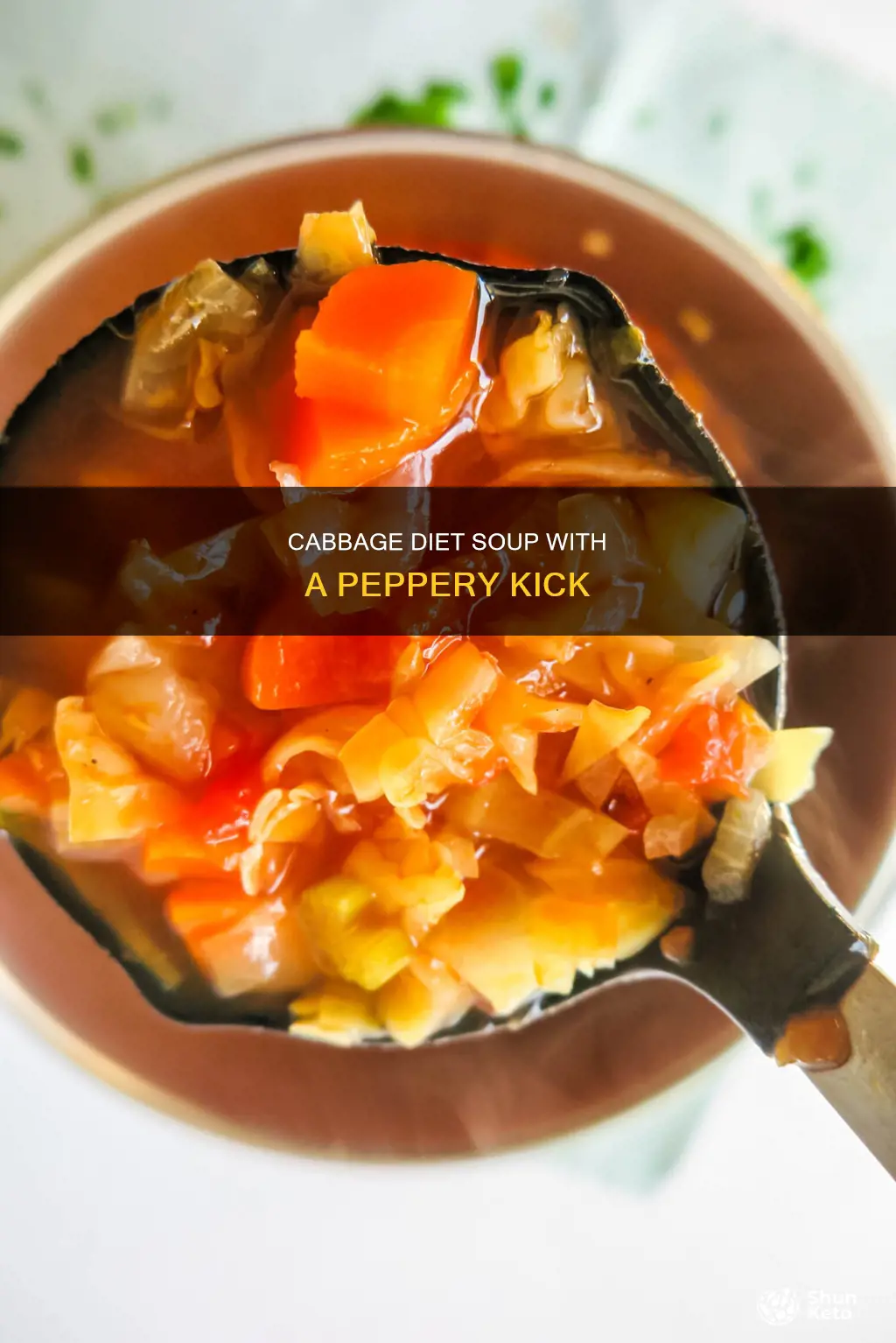 how to make diet cabbage soup with cynee peper