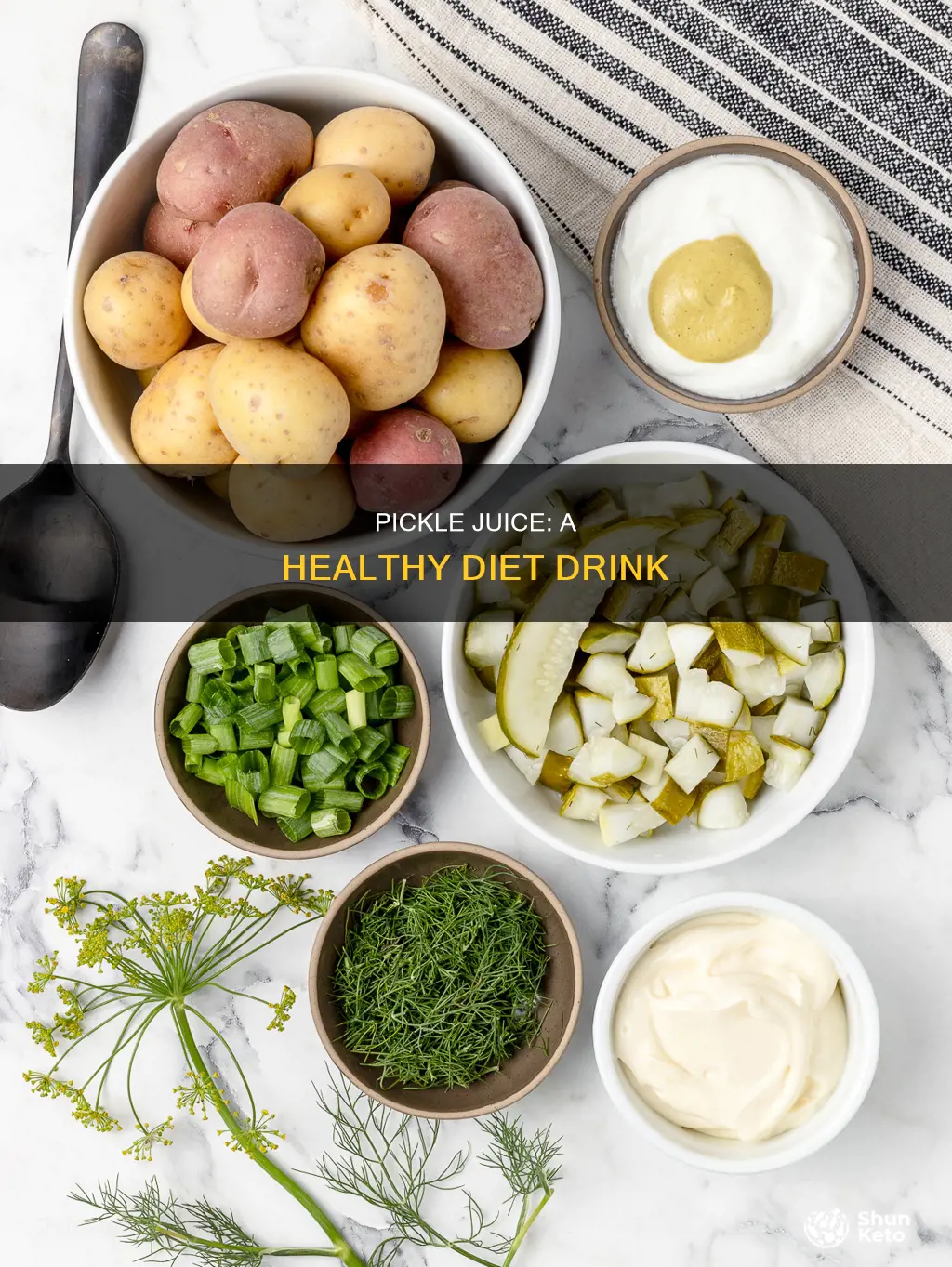 how to make diet doctors pickle juice