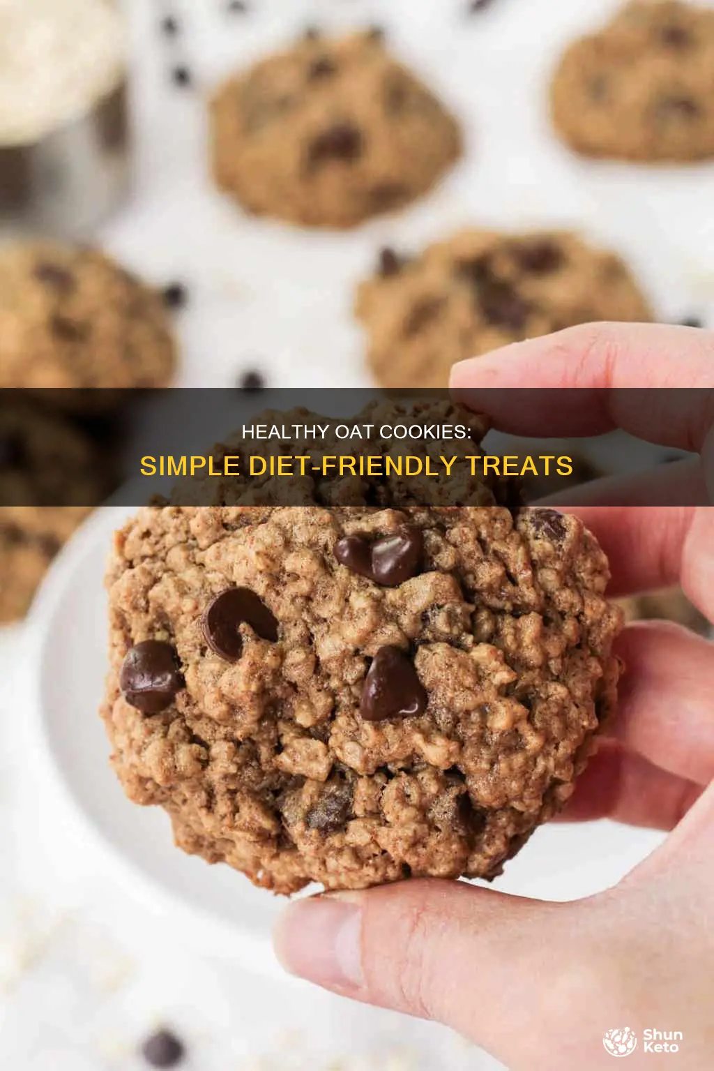 how to make diet oat cookies