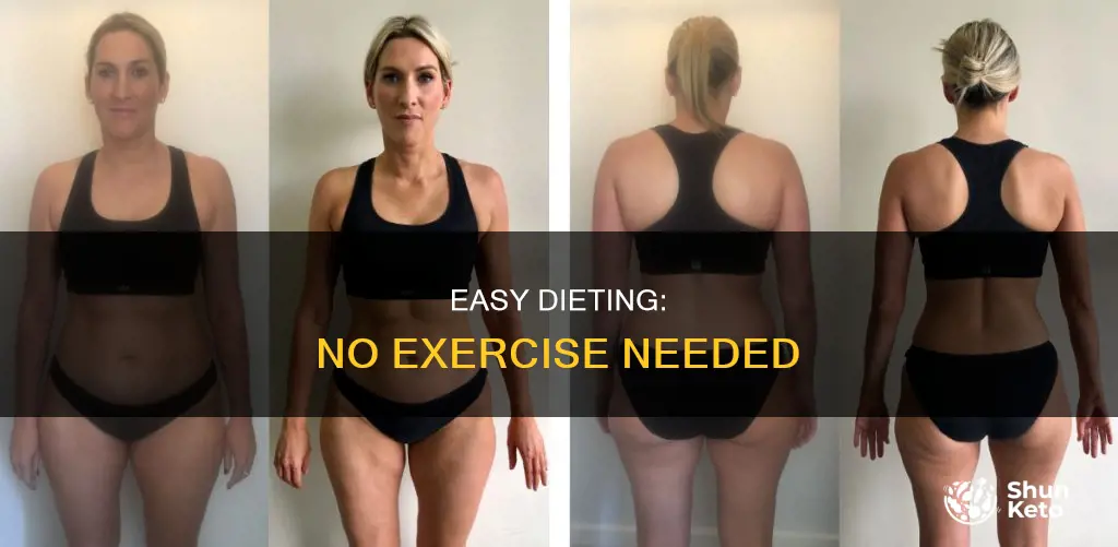 how to make diet without exercise