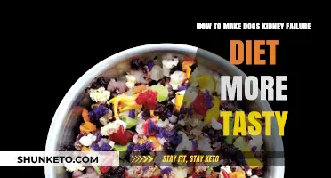 Make Kidney Failure Diet Tasty for Your Dog