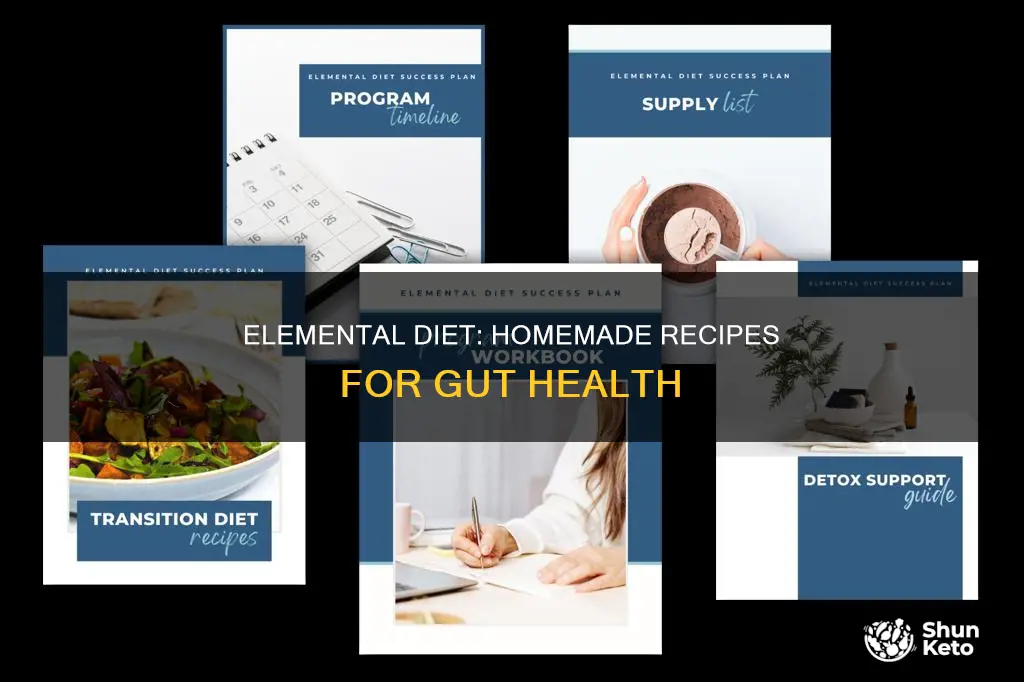 how to make elemental diet at home