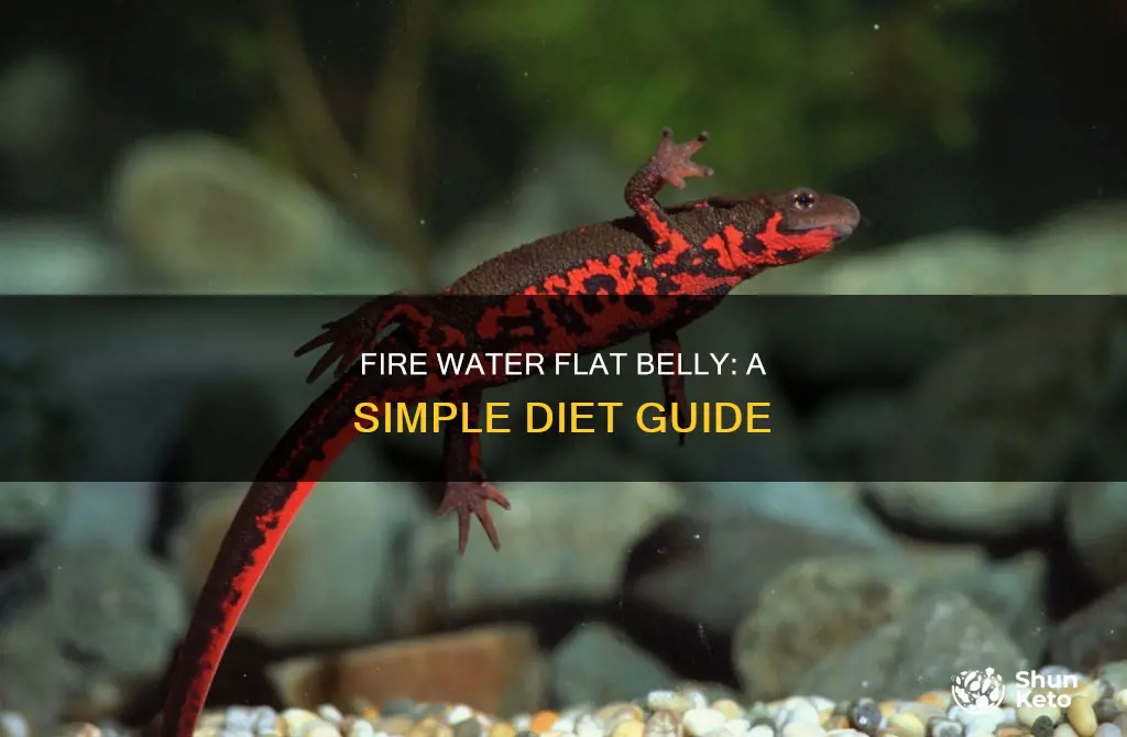 how to make fire water flat belly diet