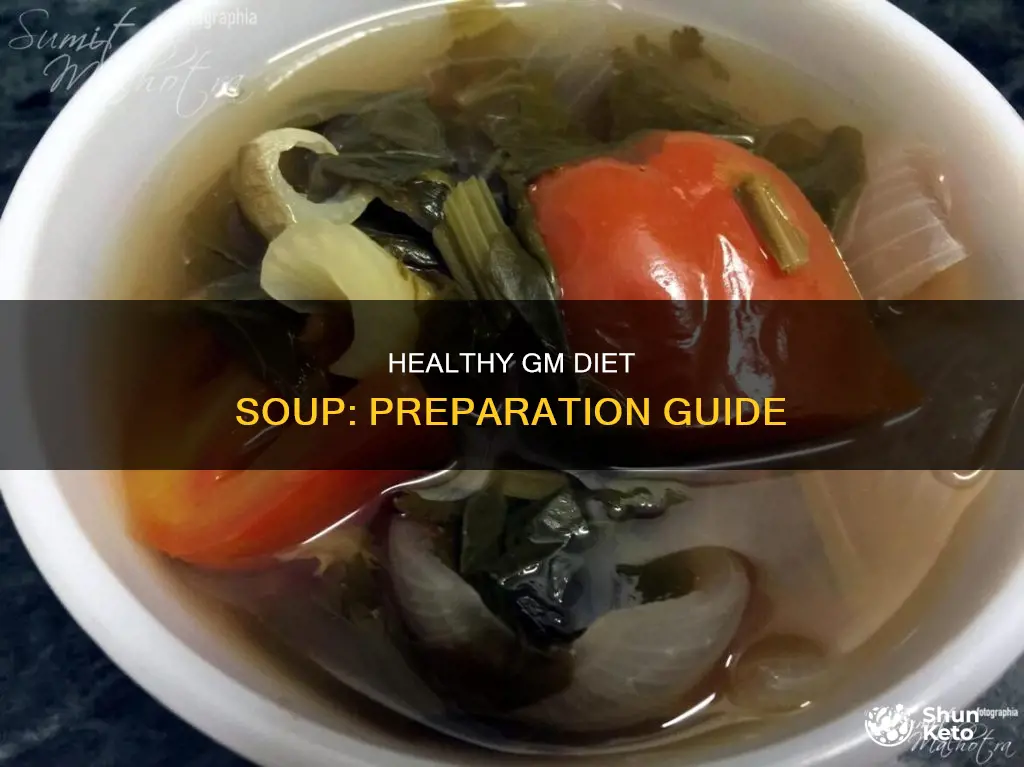 how to make gm diet soup
