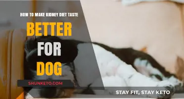 Kidney Diet for Dogs: Making It Tasty