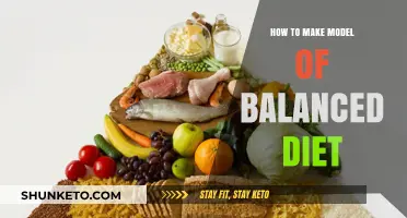 Creating a Balanced Diet Model for Healthy Living
