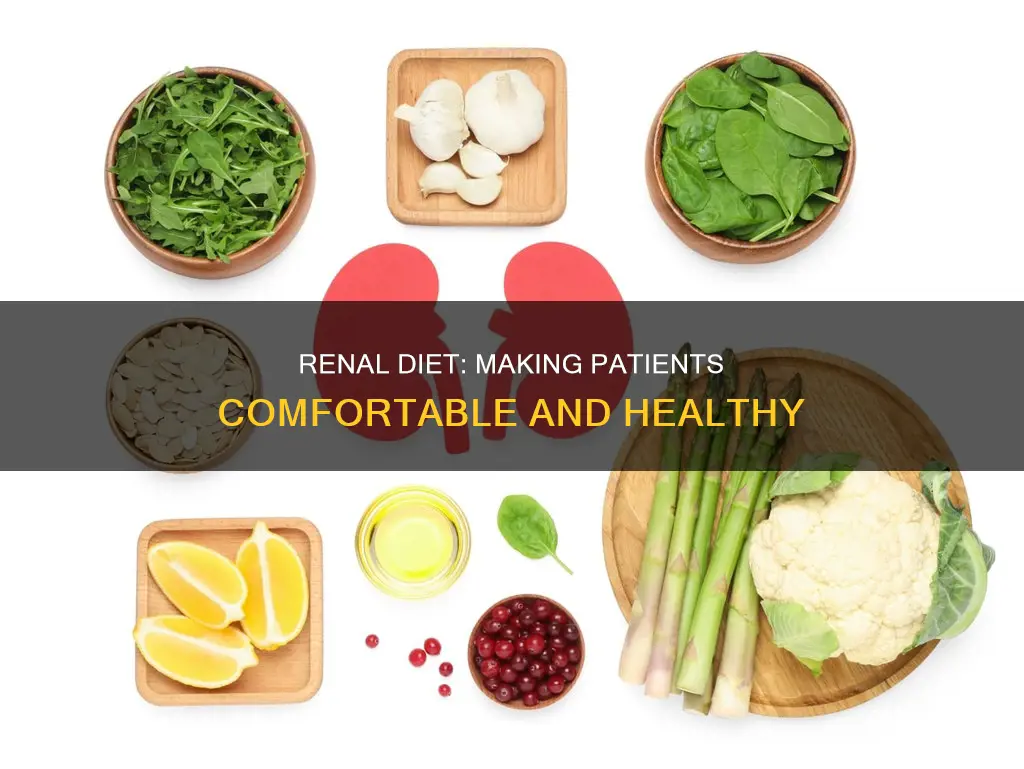 how to make patients comfortable on a renal diet