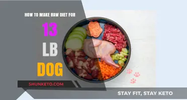 Crafting a Raw Diet for Your 13-lb Dog