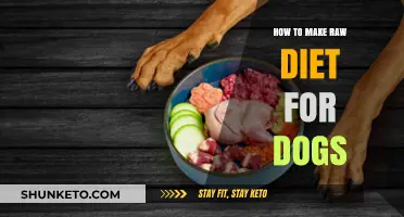 Raw Diet for Dogs: A Guide to Homemade Meals