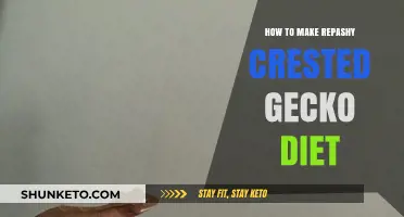 Ultimate Guide: Making Repashy Crested Gecko Diet