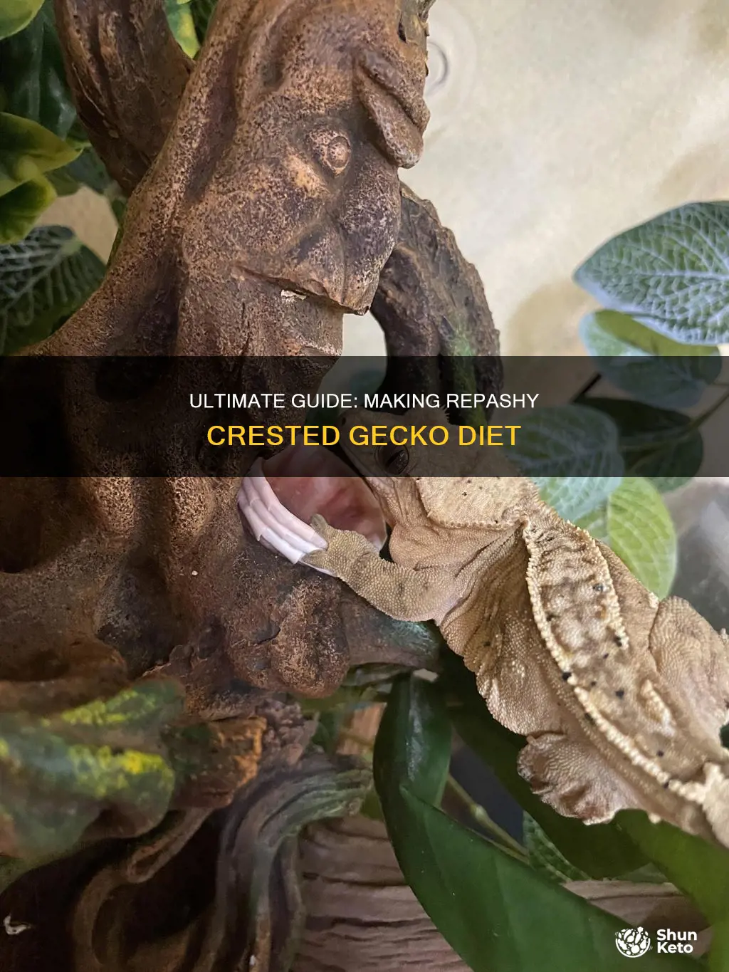 how to make repashy crested gecko diet