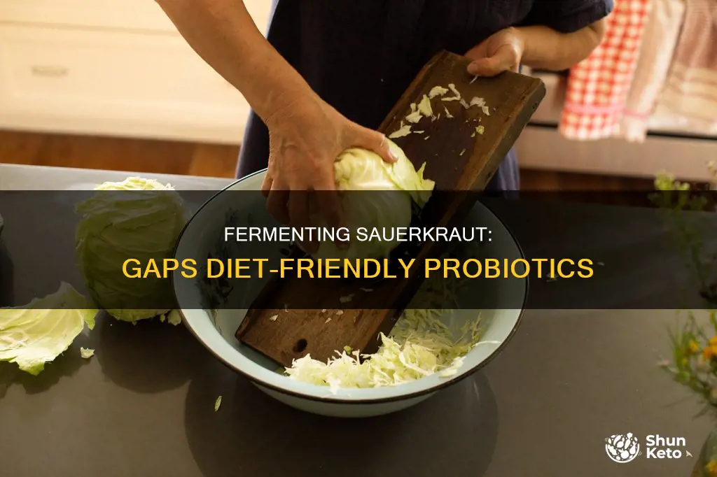 how to make sauerkraut gaps diet
