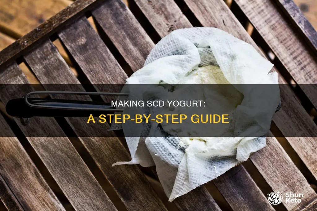 how to make specific carbohydrate diet yougurt