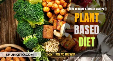 Stomach-Friendly Strategies for Plant-Based Diet Beginners