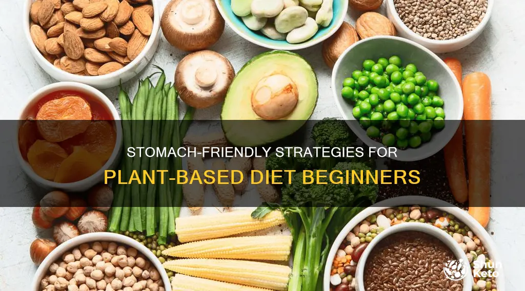 how to make stomach accept plant based diet