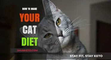 Strategizing Your Cat's Diet: A Healthy Weight Loss Journey