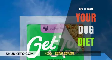 Strategizing a Healthy Diet for Your Dog