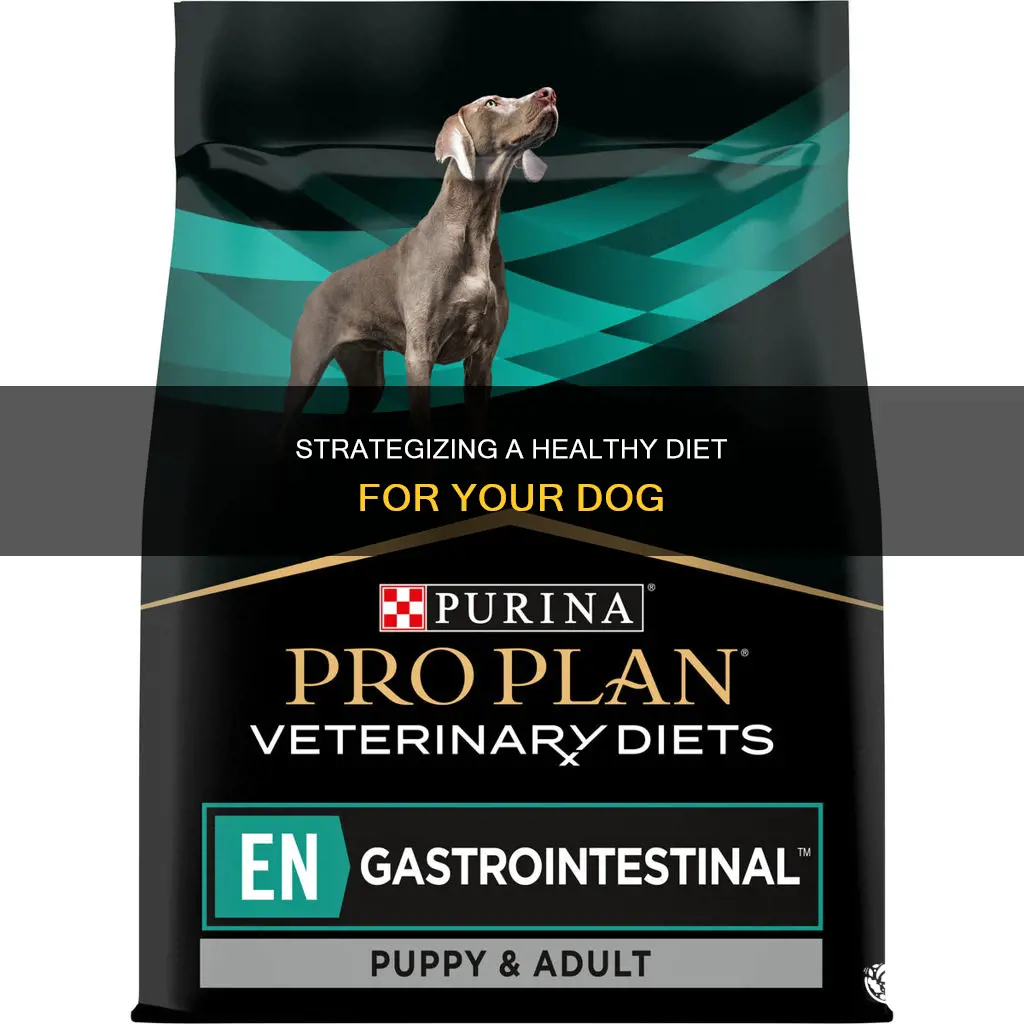 how to make your dog diet