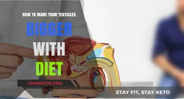 Dietary Secrets to Enhance Testicle Size