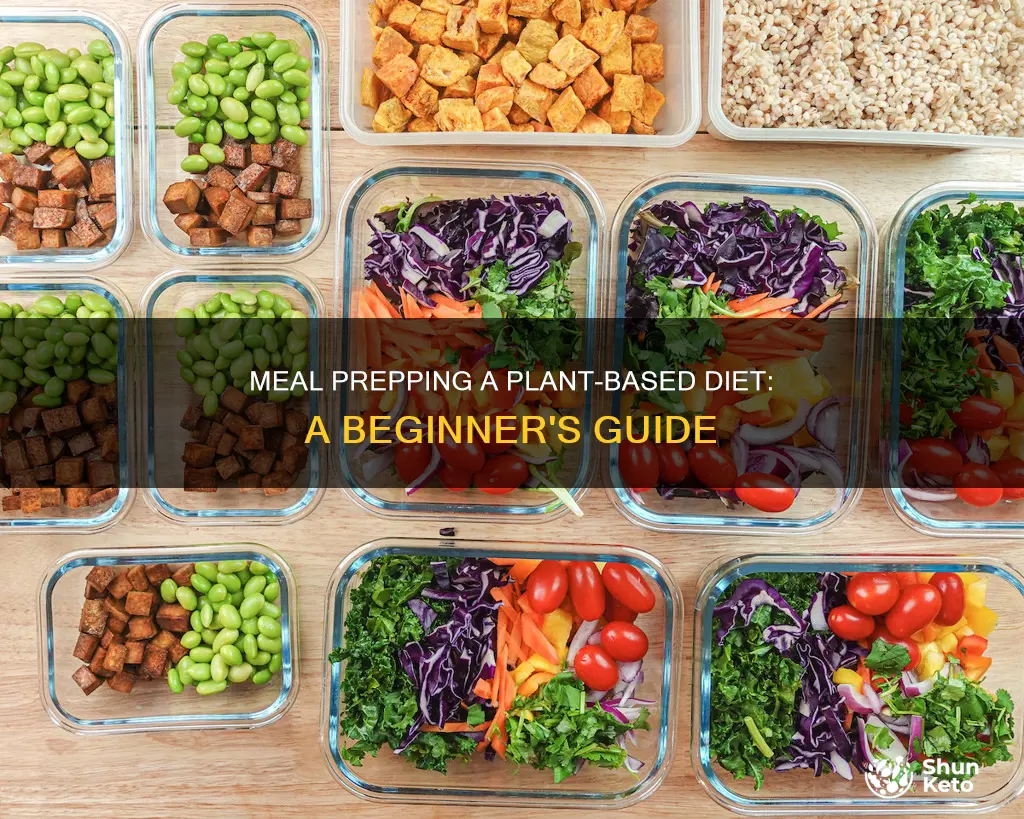 how to meal prep a plant based diet