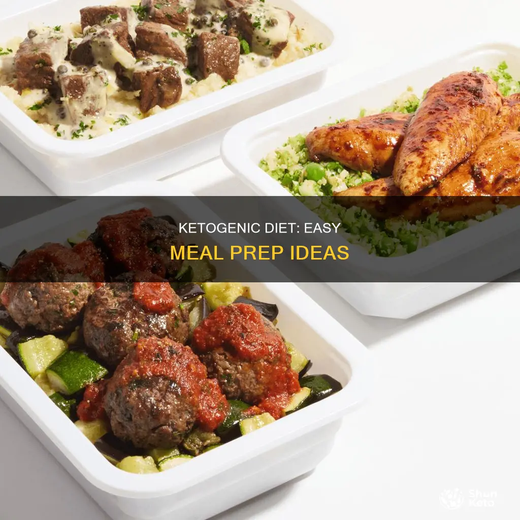 how to meals prep a ketogenic diet