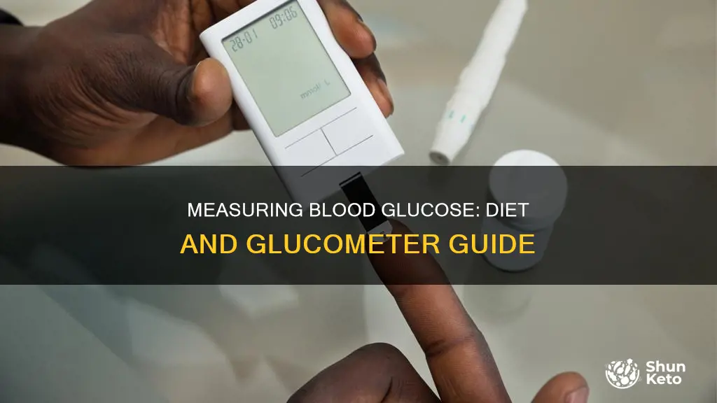 how to measure blood glucose using a glucometer for diet
