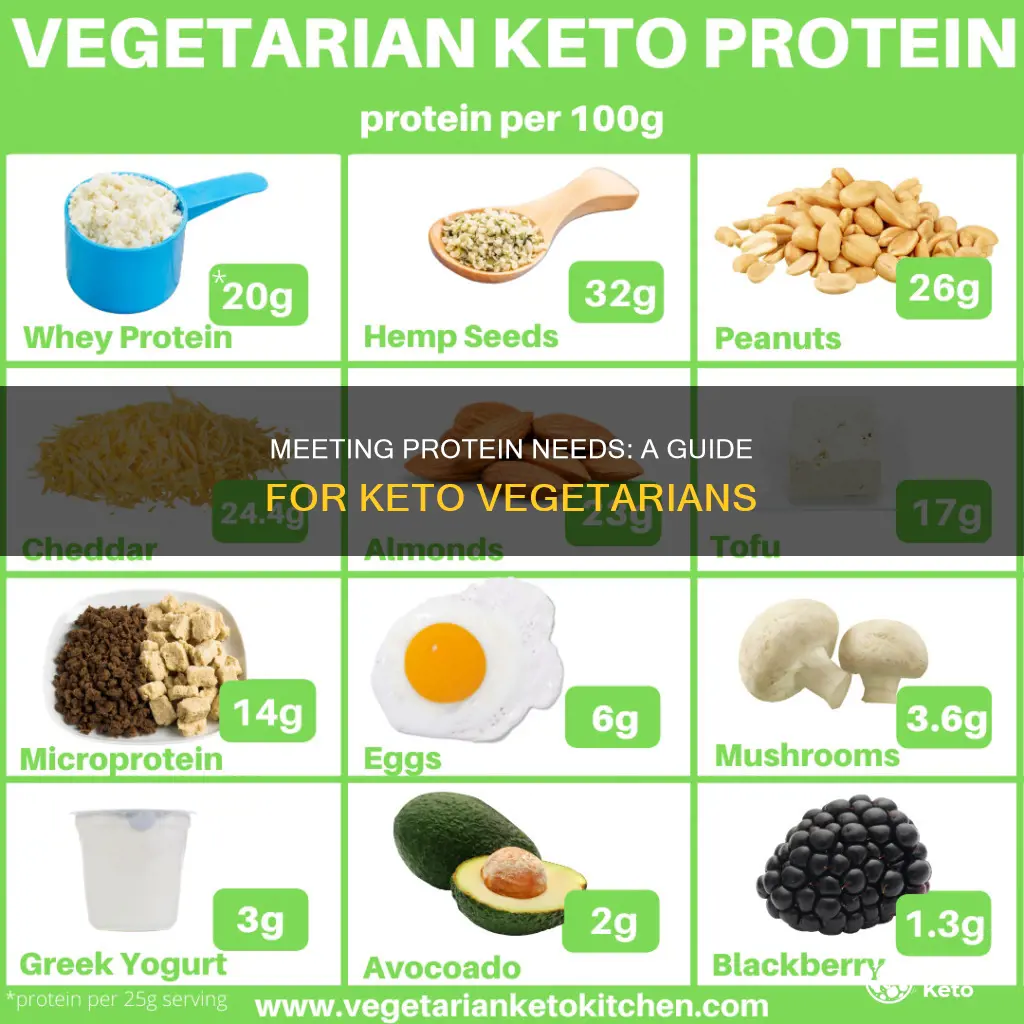 how to meet protein needs for vegetarians on keto