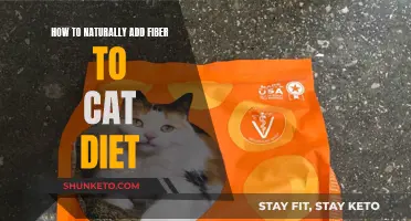 Boosting Fiber in Your Cat's Diet: Natural Approaches