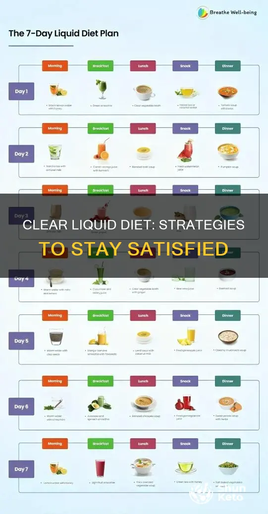 how to not starve on a clear liquid diet