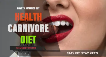 Unlocking Optimal Gut Health with the Carnivore Diet